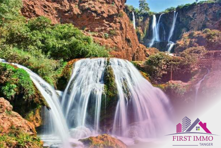 Excursion to visit the Ouzoud Waterfalls in Morocco